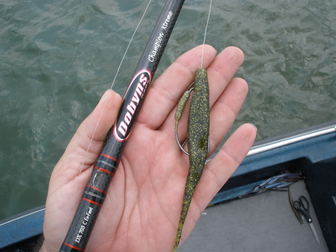 Flukes/Jerkbaits - Bass fishing rigs and baits